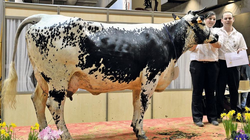 © JÉRÔME CHABANNE