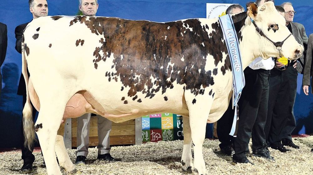 © JÉRÔME CHABANNE