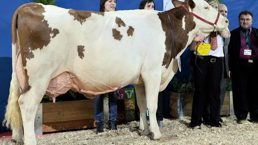 © JÉRÔME CHABANNE