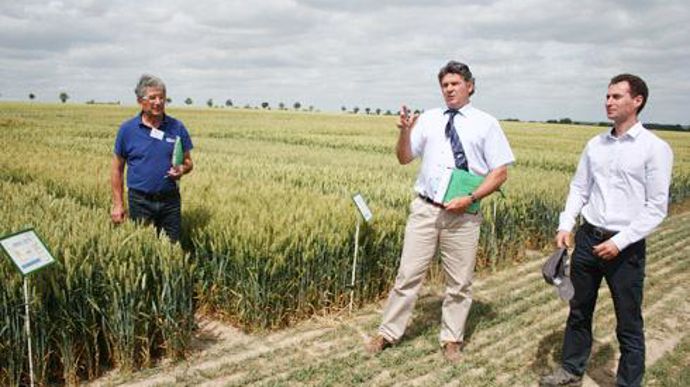Denis Mauny (à gauche), responsable des semences au service agro de Soufflet Agriculture, Jean-Paul Moreau, directeur Approvisionnements et services et chef de marché semences et Fabrice Bourjot, responsable développement blé aux Moulins Soufflet, sur la plateforme d'essais à Lhuître. © B. CAILLIEZ Denis Mauny (à gauche), responsable des semences au service agro de Soufflet Agriculture, Jean-Paul Moreau, directeur Approvisionnements et services et chef de marché semences et Fabrice Bourjot, resp