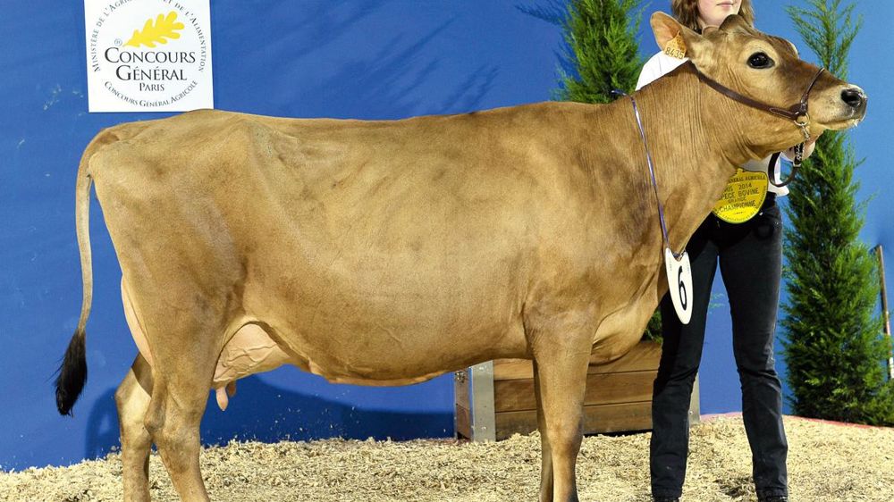 © JÉRÔME CHABANNE