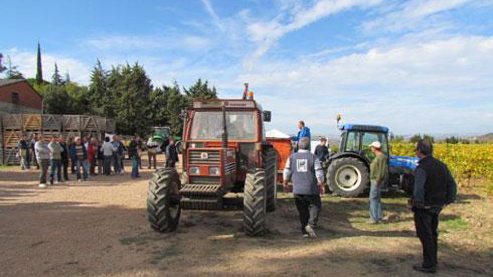 Environ quatre-vingts personnes ont assisté aux démonstrations d'épandage du compost Onze300. Les techniciens de la Cavale ont vidé un big bag de 600 kg directement dans le pulvérisateur, adapté par la coop à ce produit pulvérulent et humide. Environ quatre-vingts personnes ont assisté aux démonstrations d'épandage du compost Onze300. Les techniciens de la Cavale ont vidé un big bag de 600 kg directement dans le pulvérisateur, adapté par la coop à ce produit pulvérulent et humide. Environ quatre-vingts personnes ont assisté aux démonstrations d'épandage du compost Onze300. Les techniciens de la Cavale ont vidé un big bag de 600 kg directement dans le pulvérisateur, adapté par la coop à ce produit pulvérulent et humide. Environ quatre-vingts personnes ont assisté aux démonstrations d'épandage du compost Onze300. Les techniciens de la Cavale ont vidé un big bag de 600 kg directement dans le pulvérisateur, adapté par la coop à ce produit pulvérulent et humide.