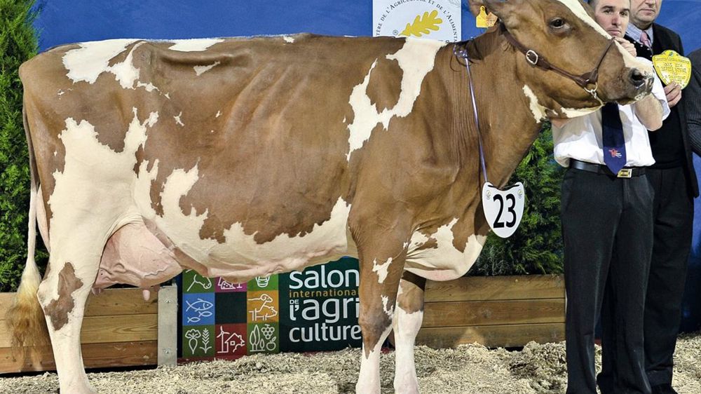 © JÉRÔME CHABANNE