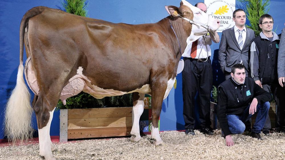 © JÉRÔME CHABANNE