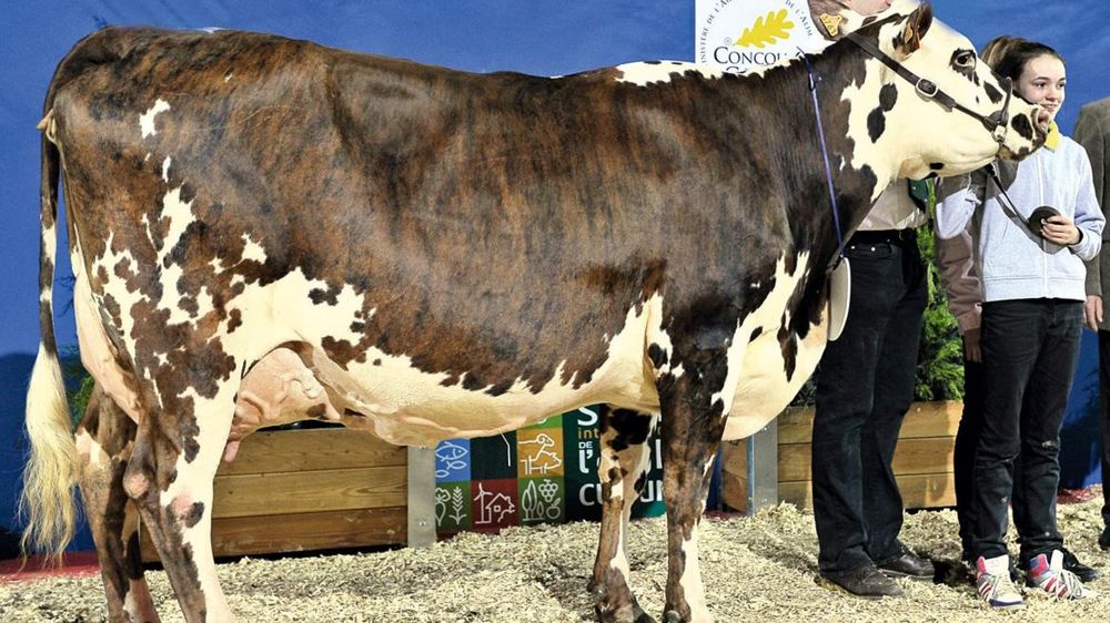 © JÉRÔME CHABANNE