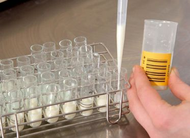 Quatre heures suffisent à analyser un échantillon, là où la méthode de référence demande au minimum quarante-huit heures.© STÉPHANE LEITENBERGER