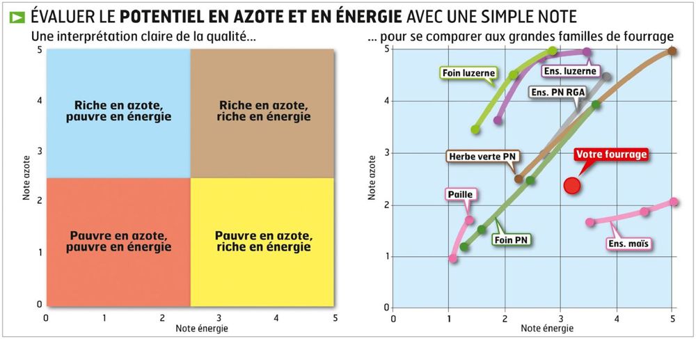 Ne pas faucher à moins de 7 cm de hauteur et faire des andains larges et aérés, deux points souvent oubliés.© CHRISTIAN WATIER