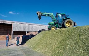 Dans la pratique, la rapidité des chantiers ne permet pas un tassement suffisant. Si la couverture est parfaite, le conservateur peut aider à la stabilité de l'ensilage après l'ouverture.© CHRISTIAN WATIER Dans la pratique, la rapidité des chantiers ne permet pas un tassement suffisant. Si la couverture est parfaite, le conservateur peut aider à la stabilité de l'ensilage après l'ouverture.© CHRISTIAN WATIER