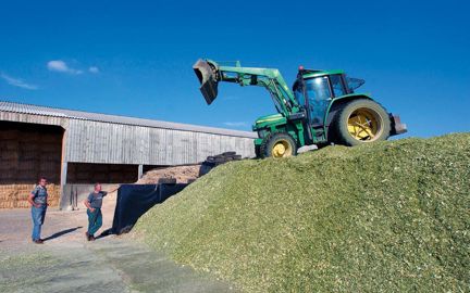 Dans la pratique, la rapidité des chantiers ne permet pas un tassement suffisant. Si la couverture est parfaite, le conservateur peut aider à la stabilité de l'ensilage après l'ouverture.© CHRISTIAN WATIER Dans la pratique, la rapidité des chantiers ne permet pas un tassement suffisant. Si la couverture est parfaite, le conservateur peut aider à la stabilité de l'ensilage après l'ouverture.© CHRISTIAN WATIER