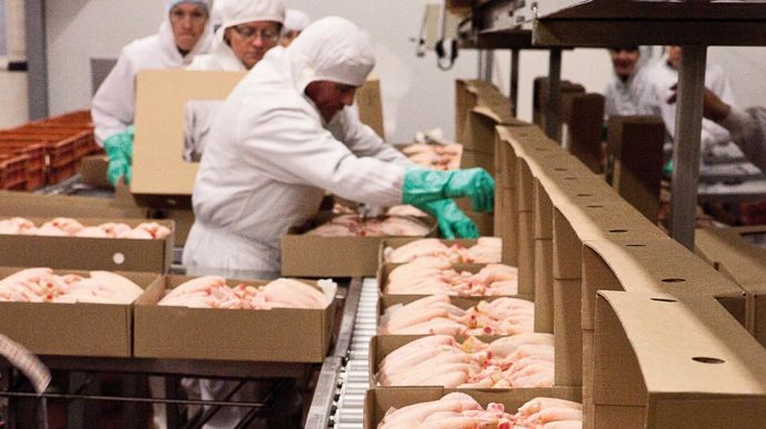 L'ensemble des actifs du pôle volailles d'Agrial totalise environ 85 M€ de CA pour 400 collaborateurs.AGRIAL