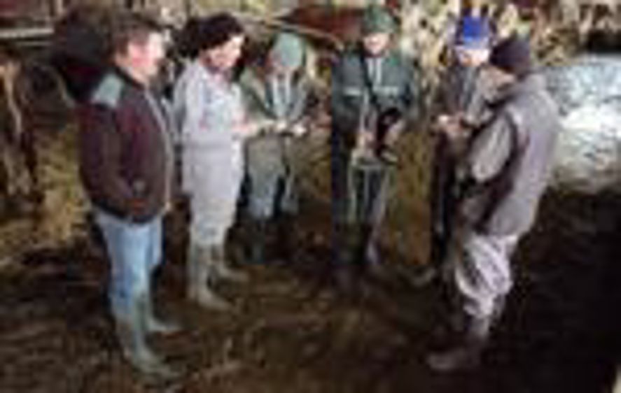 Autour de Bruno Giboudeau, vétérinaire et metteur au point de la méthode Obsalim, une séance d'échange du minigroupe d'éleveurs franc-comtois sur les principaux signes observés dans le troupeau de Jean-Marie Bonjour.© J.-M.V.