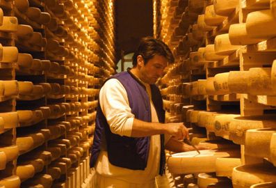 Remplacer le tourteau de soja par du colza améliorerait le profil nutritionnel des comtés en blanc . Reste à connaître l'incidence sur le goût et les arômes des fromages, un point crucial pour cette AOC. Les données sont en cours d'analyse. © JEAN-CHARLES SEXE Remplacer le tourteau de soja par du colza améliorerait le profil nutritionnel des comtés en blanc . Reste à connaître l'incidence sur le goût et les arômes des fromages, un point crucial pour cette AOC. Les données sont en cours d'analyse. © JEAN-CHARLES SEXE