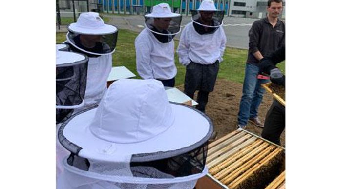 « Aborder un sujet sérieux, de façon ludique », tel est l'esprit de l'opération menée avec Beecity qui a abouti à la mise en place, le 17 avril, de trois ruches devant l'entreprise. © INGREDIA