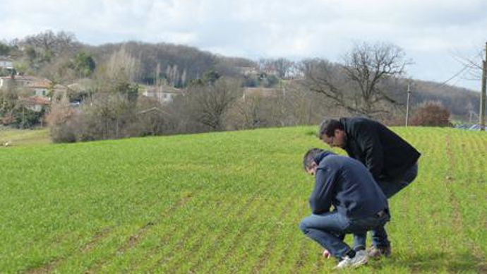 En réaction à ces résultats, Coop de France et la FNA pointent tous les deux une difficulté d'interprétation : comment a été comprise la séparation par les agriculteurs ? © M. COISNE En réaction à ces résultats, Coop de France et la FNA pointent tous les deux une difficulté d'interprétation : comment a été comprise la séparation par les agriculteurs ? © M. COISNE