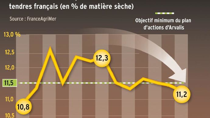 Hétérogénéité régionale. Avec un taux de protéines moyen de 11,2 % en 2013, les blés français réalisent leur plus mauvaise performance depuis 2001 et renouent avec les niveaux connus à la fin du siècle dernier. Le Centre-Ouest de la France et Rhône-Alpes sont particulièrement pénalisés et connaissent des teneurs inférieures à 11 %. A contrario, le Nord et le Nord-Est s'en sortent plutôt bien.
