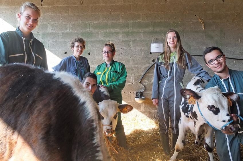 À Vire, de décembre à mai, les élèves de première et de terminale « conduite et gestion de l'exploitation » ont pesé les veaux avec leur enseignante, Dominique Heudier.© CAROLE BES