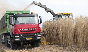 Les bennes agricoles sont largement utilisées pour la récolte. Le système de benne à fond mouvant autorise un débit de chantier accéléré.PHOTOS © J.P. Les bennes agricoles sont largement utilisées pour la récolte. Le système de benne à fond mouvant autorise un débit de chantier accéléré.PHOTOS © J.P.