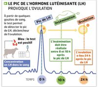« Le bon créneau se situe entre huit et dix heures après un test positif », explique Marie-Christine Maurel, de ReproPharm. « Le bon créneau se situe entre huit et dix heures après un test positif », explique Marie-Christine Maurel, de ReproPharm.