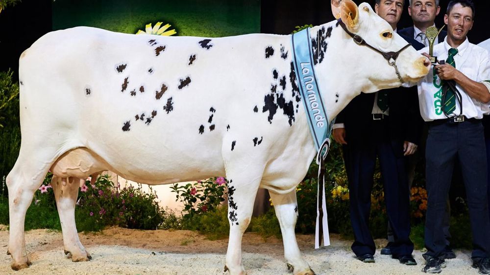 REPORTAGE PHOTOS © THIERRY PASQUET