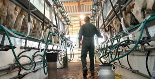Les seuils fixés pour détecter les vaches infectées sont un outil d'amélioration de l'état sanitaire du troupeau. Il ne faut pas les confondre avec la grille des comptages cellulaires pour le paiement du lait. © SÉBASTIEN CHAMPION Les seuils fixés pour détecter les vaches infectées sont un outil d'amélioration de l'état sanitaire du troupeau. Il ne faut pas les confondre avec la grille des comptages cellulaires pour le paiement du lait. © SÉBASTIEN CHAMPION