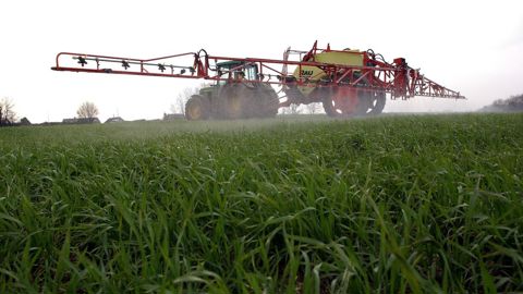 Les 76 produits fongicides à base d’époxiconazole devront être retirés du marché d’ici 12 mois. © C. WATIER