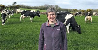 Claudine Picaud et son mari vont désormais élever toutes leurs génisses pour assurer le renouvellement sans achats à l'extérieur.© P.L.C. Claudine Picaud et son mari vont désormais élever toutes leurs génisses pour assurer le renouvellement sans achats à l'extérieur.© P.L.C.