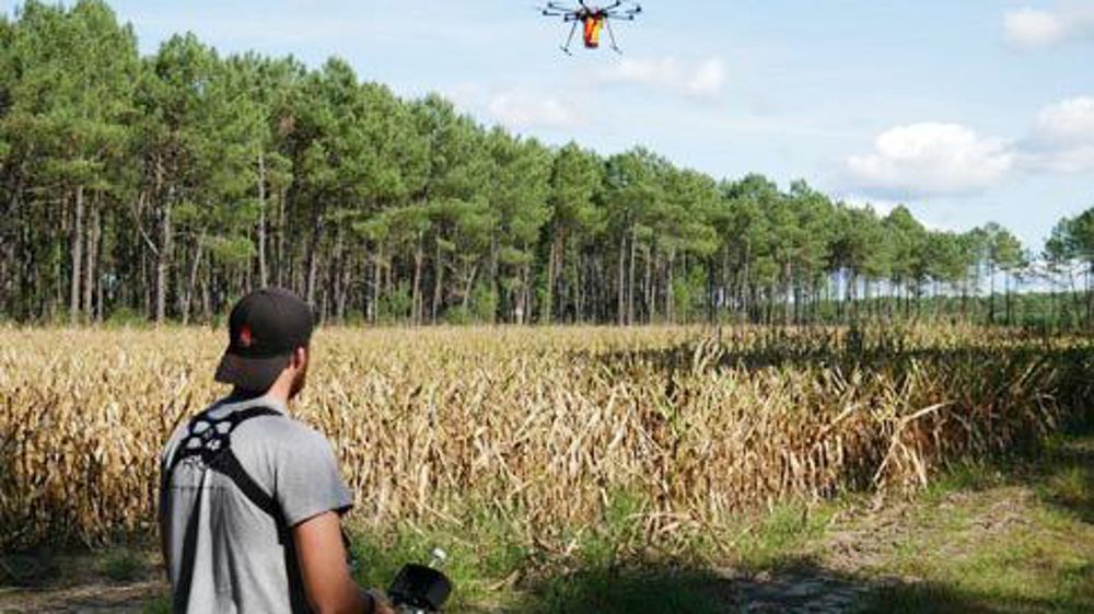 Ovalie Innovation et Reflet du Monde effectuent des essais de semis de couverts par drone sur maïs, en présence des responsables agronomiques et des techniciens de Maïsadour et Vivadour. © OVALIE INNOVATION Ovalie Innovation et Reflet du Monde effectuent des essais de semis de couverts par drone sur maïs, en présence des responsables agronomiques et des techniciens de Maïsadour et Vivadour. © OVALIE INNOVATION
