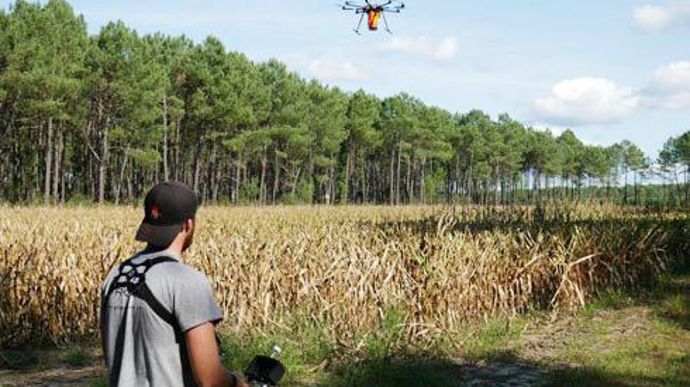 Ovalie Innovation et Reflet du Monde effectuent des essais de semis de couverts par drone sur maïs, en présence des responsables agronomiques et des techniciens de Maïsadour et Vivadour. © OVALIE INNOVATION Ovalie Innovation et Reflet du Monde effectuent des essais de semis de couverts par drone sur maïs, en présence des responsables agronomiques et des techniciens de Maïsadour et Vivadour. © OVALIE INNOVATION