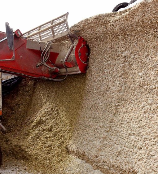 Même si cela demande du travail, l'abaissement du silo de maïs-ensilage, s'il est haut, limitera les refus et économisera du fourrage.© CHRISTIAN WATIER Même si cela demande du travail, l'abaissement du silo de maïs-ensilage, s'il est haut, limitera les refus et économisera du fourrage.© CHRISTIAN WATIER