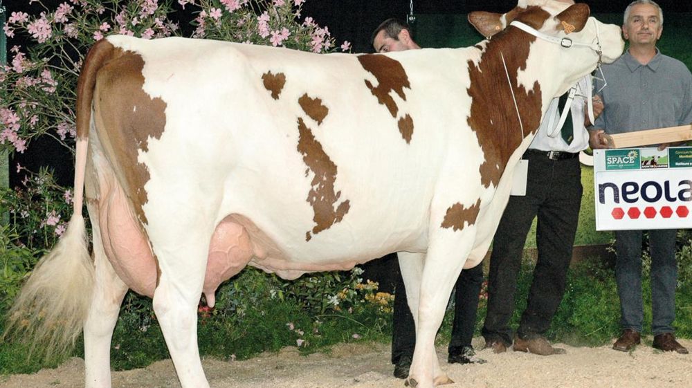 © JEAN-MICHEL VOCORET