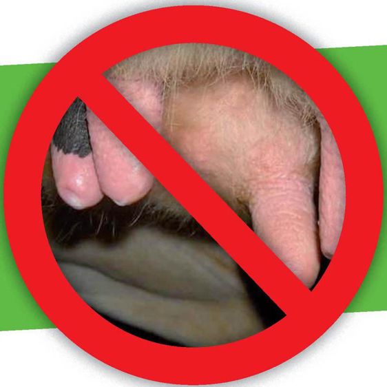 PHOTOS : SNGTV, GTV BRETAGNE