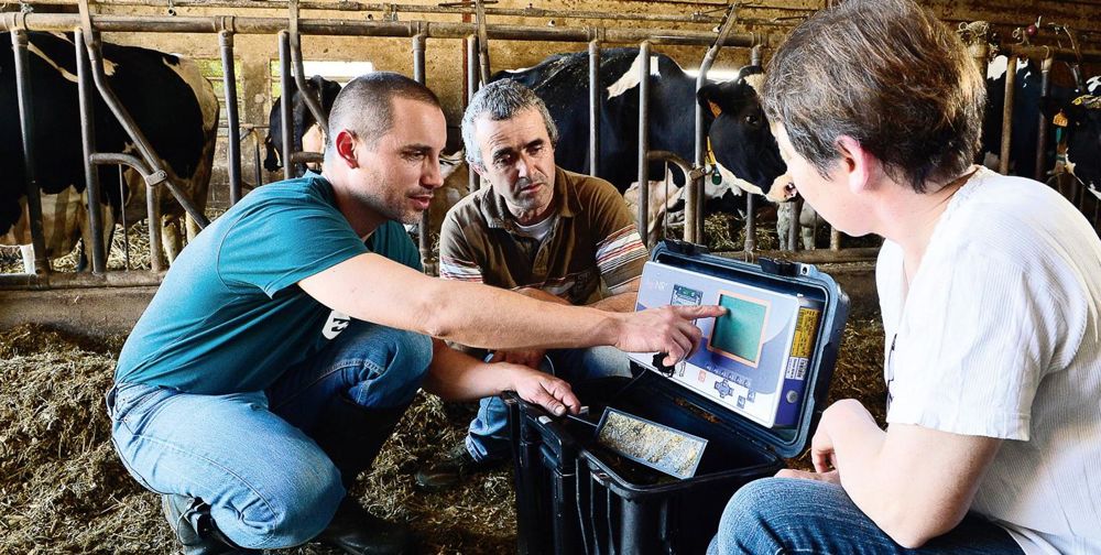 L'analyse de la ration a montré des déficits en énergie et en PDIE, avec un excès d'azote soluble, en début de lactation. © LYDIE LECARPENTIER L'analyse de la ration a montré des déficits en énergie et en PDIE, avec un excès d'azote soluble, en début de lactation. © LYDIE LECARPENTIER