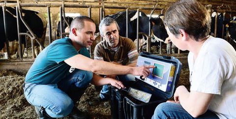 L'analyse de la ration a montré des déficits en énergie et en PDIE, avec un excès d'azote soluble, en début de lactation. © LYDIE LECARPENTIER