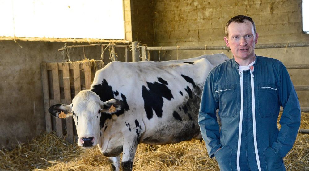 Les modifications préconisées ont permis d'obtenir un fourrage de meilleure qualité : ensilage de maïs à 38 % de MS et 36 % d'amidon, ensilage de luzerne à 45 % de MS et 19.5 % de MAT.© LYDIE LECARPENTIER Les modifications préconisées ont permis d'obtenir un fourrage de meilleure qualité : ensilage de maïs à 38 % de MS et 36 % d'amidon, ensilage de luzerne à 45 % de MS et 19.5 % de MAT.© LYDIE LECARPENTIER