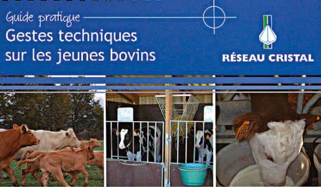 PHOTOS : DAVID LE GOÏC