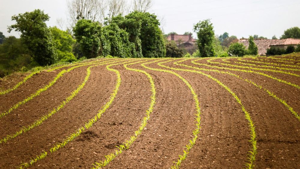 © SÉBASTIEN CHAMPION