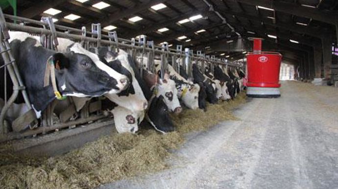 DLG et Agrial comptent produire des minéraux pour vache laitière de meilleure qualité que ce qui existe actuellement sur le marché. Ils visent le marché normand et breton. © C. MICHEL DLG et Agrial comptent produire des minéraux pour vache laitière de meilleure qualité que ce qui existe actuellement sur le marché. Ils visent le marché normand et breton. © C. MICHEL