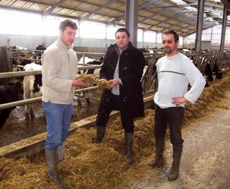 Les éleveurs Bruno et Erwan Calle, et Stéphane Saillé, de chez Prisma peuvent constater à l'auge la bonne conservation du fourrage.© D.G. Les éleveurs Bruno et Erwan Calle, et Stéphane Saillé, de chez Prisma peuvent constater à l'auge la bonne conservation du fourrage.© D.G.