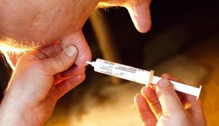 Sur des vaches présentant moins de 200 000 leucocytes/ ml au cours des trois mois précédant le tarissement, les antibiotiques hors lactations ne se justifient pas.© CLAUDIUS THIRIET Sur des vaches présentant moins de 200 000 leucocytes/ ml au cours des trois mois précédant le tarissement, les antibiotiques hors lactations ne se justifient pas.© CLAUDIUS THIRIET
