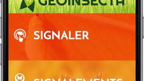 Plus de 1000 utilisateurs utilisent aujourd’hui GeoInsecta.