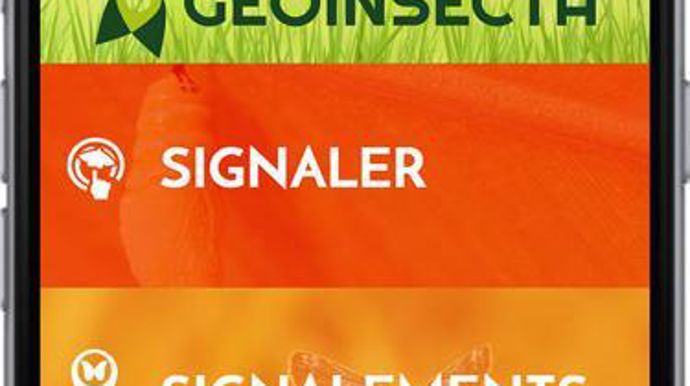 Plus de 1000 utilisateurs utilisent aujourd’hui GeoInsecta.