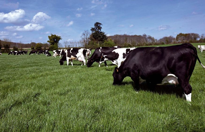 Thomas Huneau, de la ferme expérimentale de Derval Thomas Huneau, de la ferme expérimentale de Derval