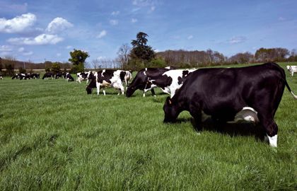 Thomas Huneau, de la ferme expérimentale de Derval Thomas Huneau, de la ferme expérimentale de Derval