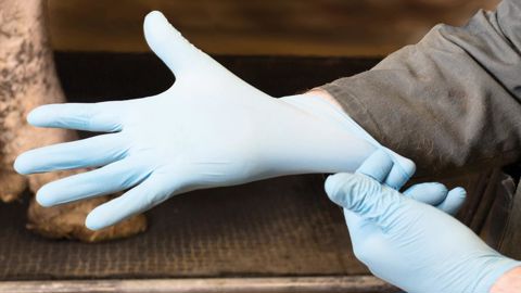 Les gants sont indis-pensables Des gants stériles en nitrile bleu sont les plus appropriés. En matière synthétique, ils ne sont pas allergènes, comme peut l'être le latex. 