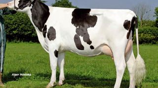 Urbiel trouvera son intérêt sur des souches solides en cellules pour apporter lait et format. Urbiel trouvera son intérêt sur des souches solides en cellules pour apporter lait et format.