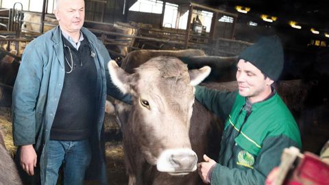 Certaines interventions sur l'animal, plus délicates, demandent un apprentissage. Pourquoi ne pas interroger son vétérinaire ? D'ailleurs, il existe toujours des formations « éleveur infirmier » animées par des praticiens.© CLAUDIUS THIRIET