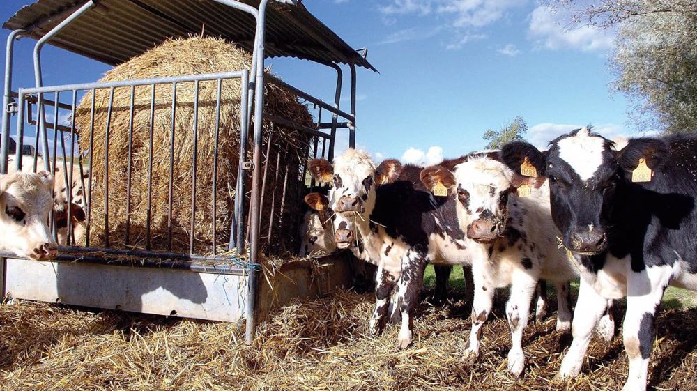 © STÉPHANE LEITENBERGER