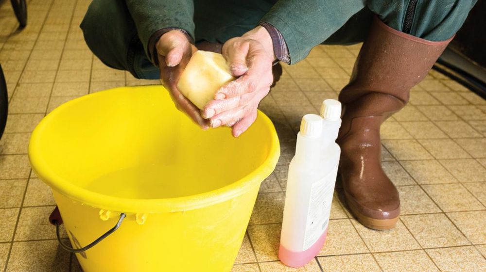 Comme pour toute intervention sur un animal, même la plus bénigne, l'éleveur doit respecter les règles d'hygiène élémentaires : se laver les mains au savon ou avec un liquide désinfectant est un minimum, porter des gants stériles est encore mieux.