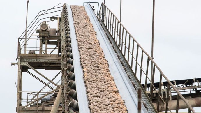 Haussimont, qui recherche toujours de nouvelles surfaces, représente aujourd'hui plus de 40 % de la production française de fécule.J. GRISON