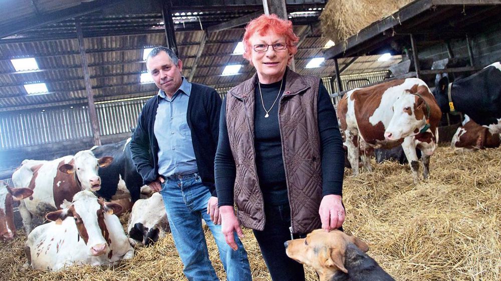 « Dans les difficultés, être en couple est un atout, estiment Georgette et André Murigneux. À deux, on s'épaule. Quand l'un est au fond, l'autre le tire vers l'avant. On se fait confiance. Nous ne sommes pas des associés ordinaires. »© RAPHAËL HELLE « Dans les difficultés, être en couple est un atout, estiment Georgette et André Murigneux. À deux, on s'épaule. Quand l'un est au fond, l'autre le tire vers l'avant. On se fait confiance. Nous ne sommes pas des associés ordinaires. »© RAPHAËL HELLE